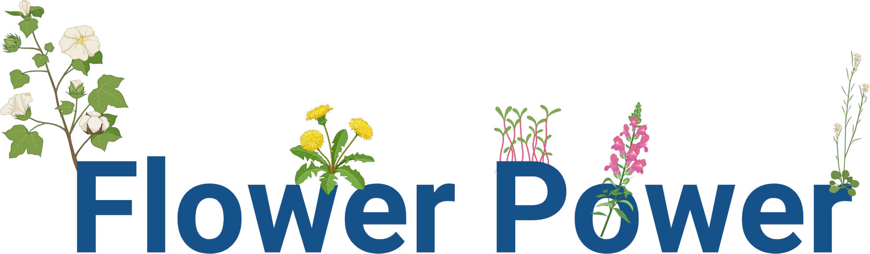 Flower Power Logo